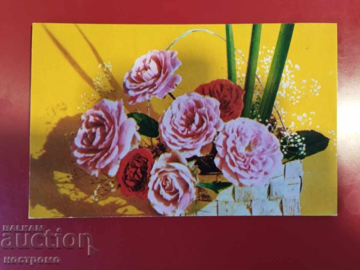 Russia  Post card  -  A 6117