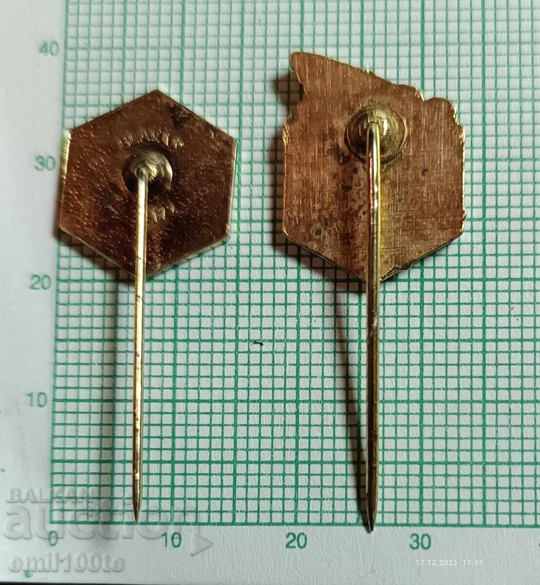 2 buc. insignii cu Albina Uniunea Apicultorilor din Slovenia - 7