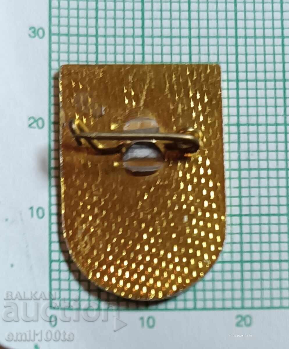 Значка- БФПС Българска федерация по подводни спортове - 5