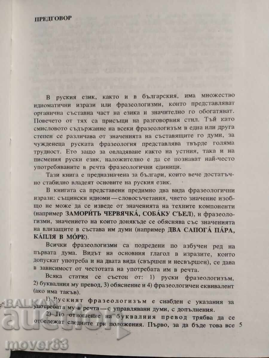 Auction  Russian Idioms in Pictures