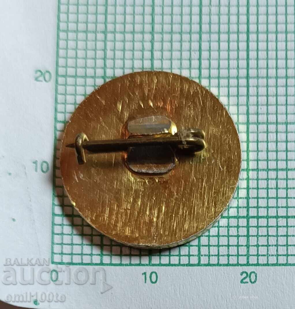 Insigna - Turneu de scrimă Varna 84 - 5 Insigna - Turneu de scrimă Varna 84 - 5