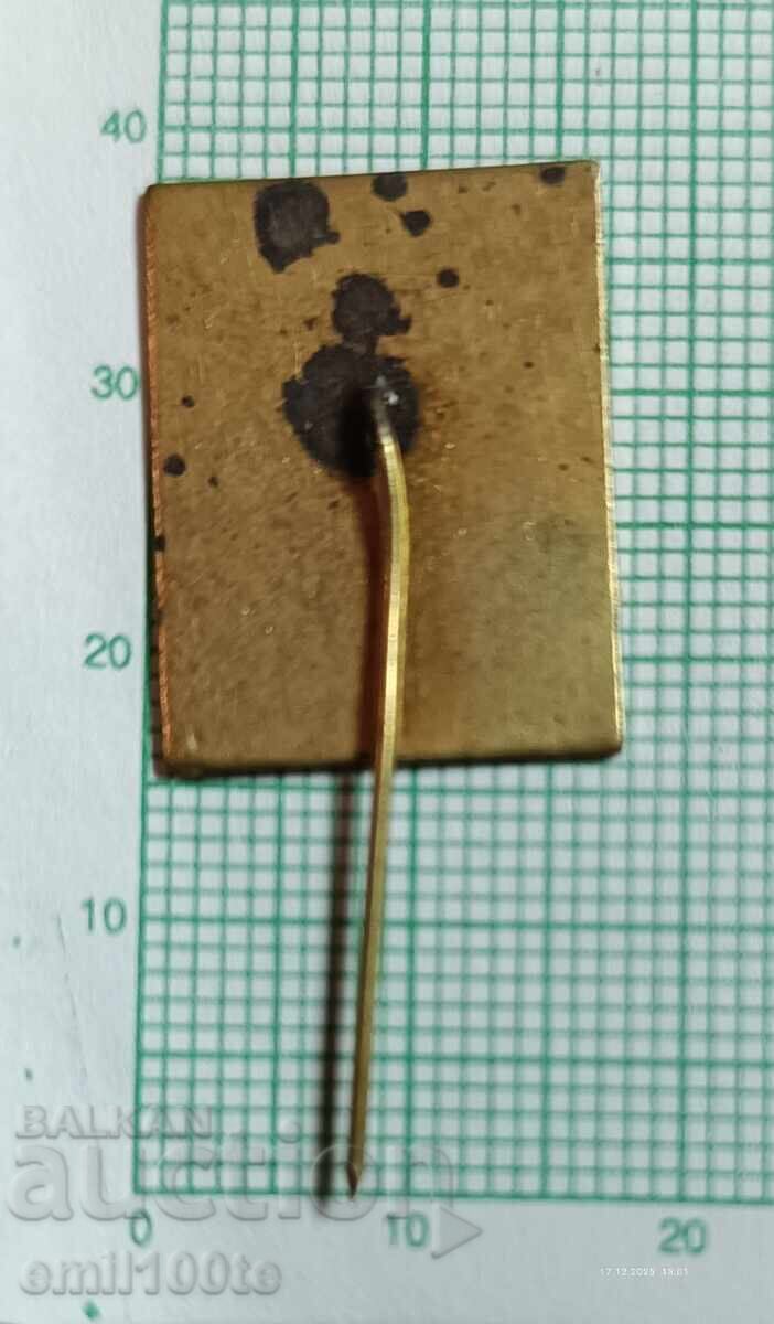 Доставка на Значка- 60 години Българско геоложко дружество 1925 г. Доставка на Значка- 60 години Българско геоложко дружество 1925 г.