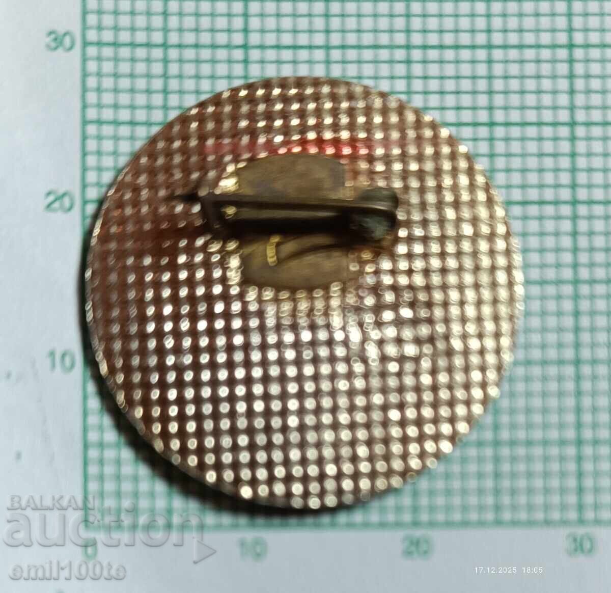 Значка- Любен Каравелов - 6 Значка- Любен Каравелов - 6