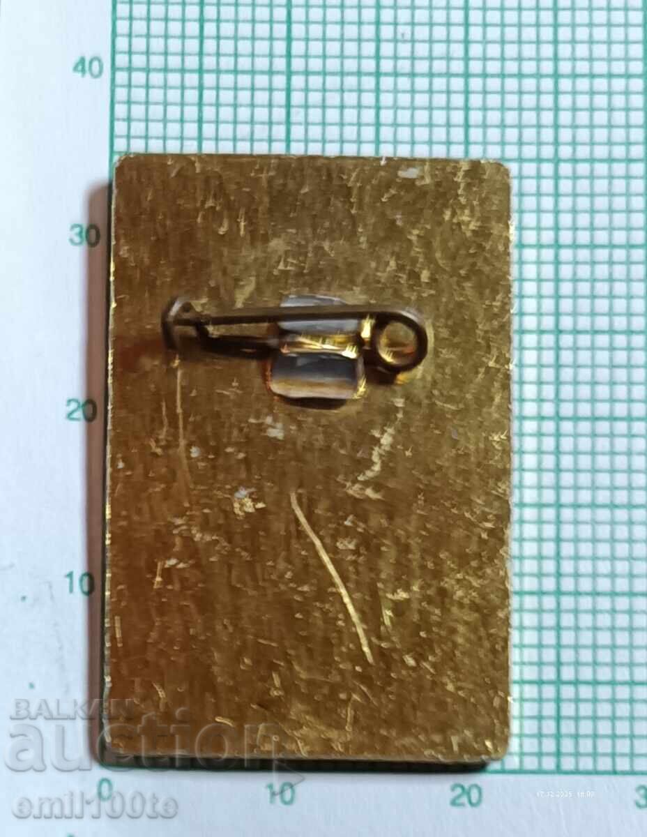 Badge - Participant in the National Youth Brigade 1981 - 5