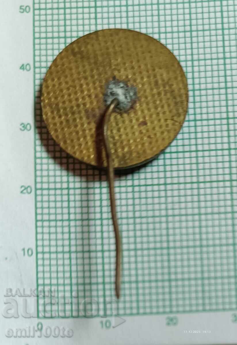 Значка- 100 години Окръжен исторически музей Велико Търново - 5 Значка- 100 години Окръжен исторически музей Велико Търново - 5