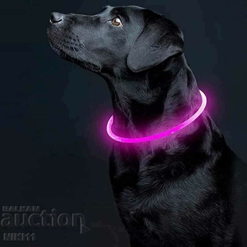 Licitație Guler LED luminos pentru rase mari si mici de caini, lesa