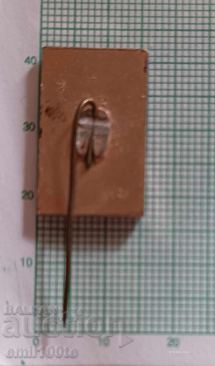 Livrarea Ecuson - Vrața