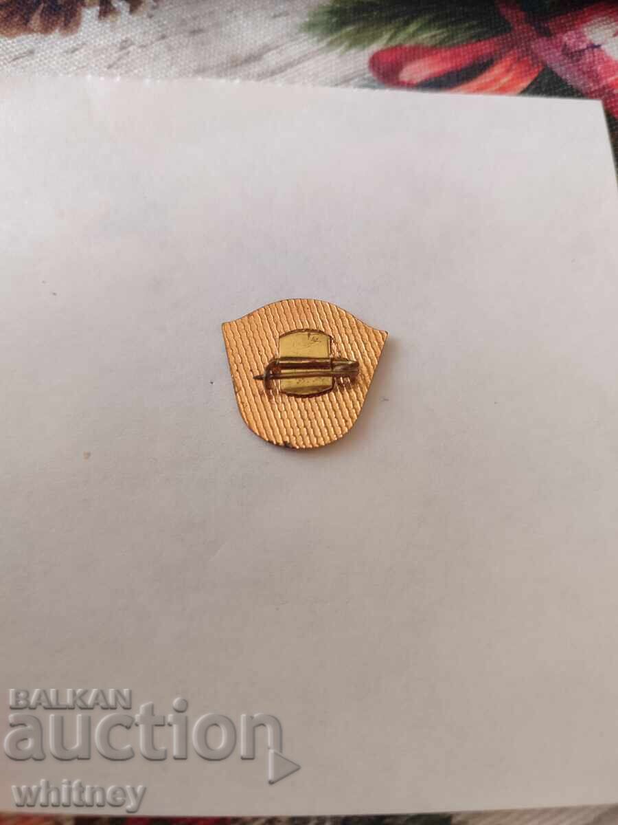 Δημοπρασία Σήμα Μπουργκάς Μίνι