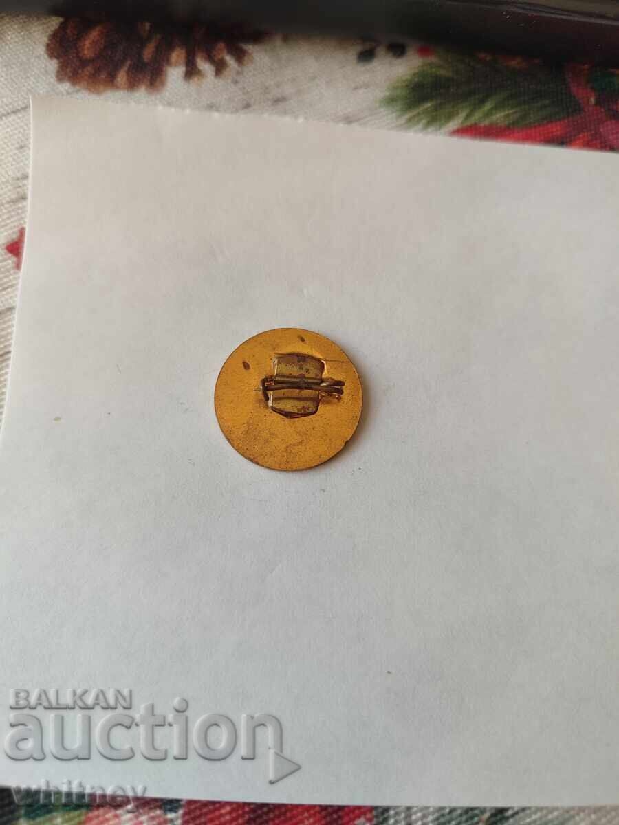 Insigna Decada a Muzicii Simfonice Burgas cu preț € 2.55 | 4.99 BGN