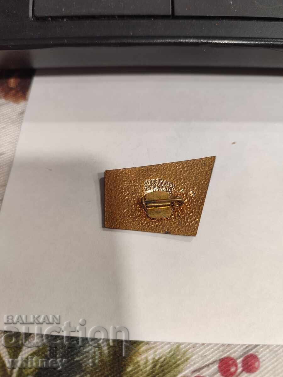 Значка VII конгрес на Българските професионални съюзи с цена € 3.11 | 6.08 лв.