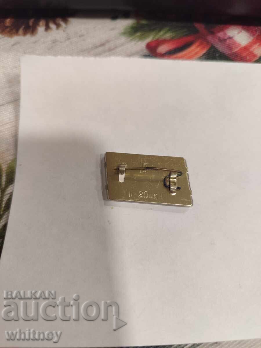 Licitație Insigna 3D Pechora