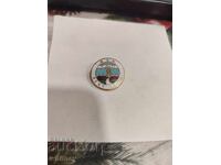 Значка английска