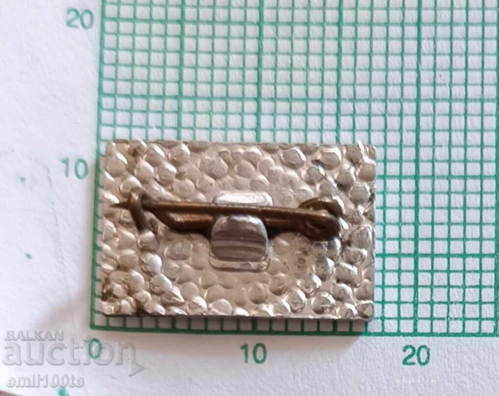 Delivery of Badge - USH ONS Haskovo - Student Sports School