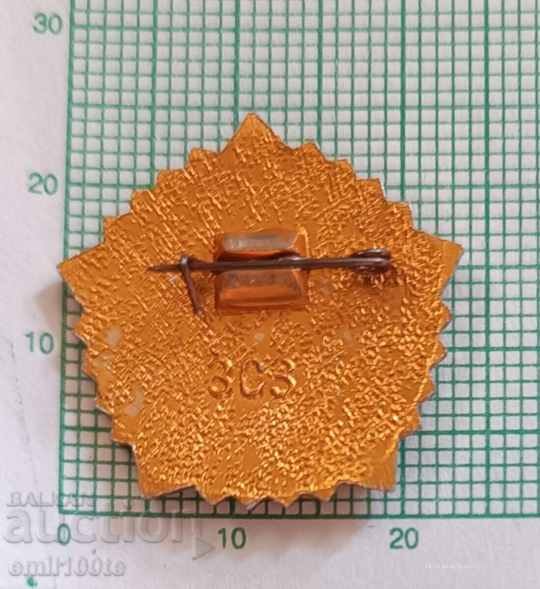 Доставка на Значка- Готов за труд и отбрана 3-та степен ГТО СССР Доставка на Значка- Готов за труд и отбрана 3-та степен ГТО СССР