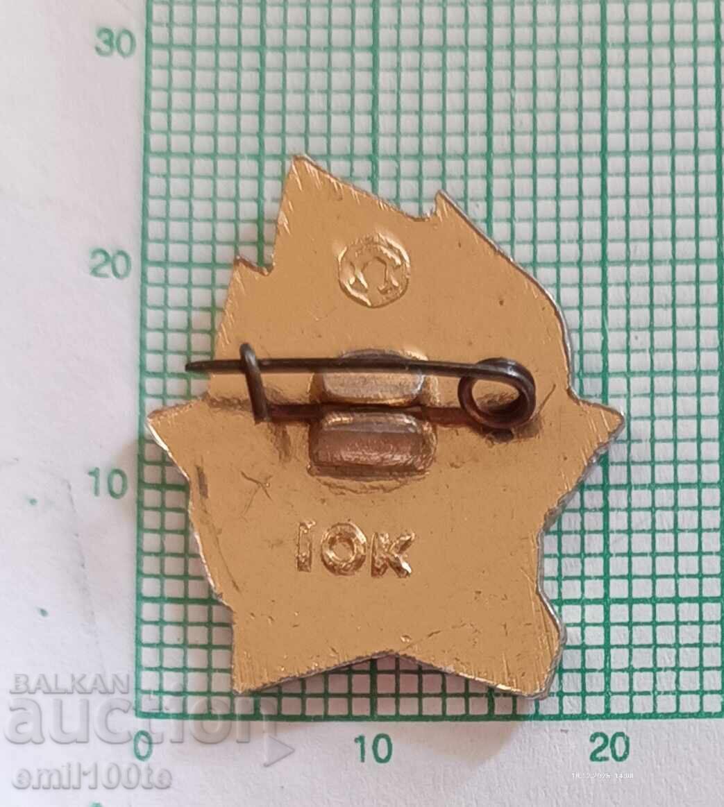 Delivery of Badge - USSR ready Delivery of Badge - USSR ready