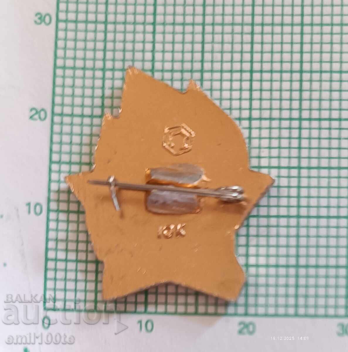 Delivery of Badge - USSR ready