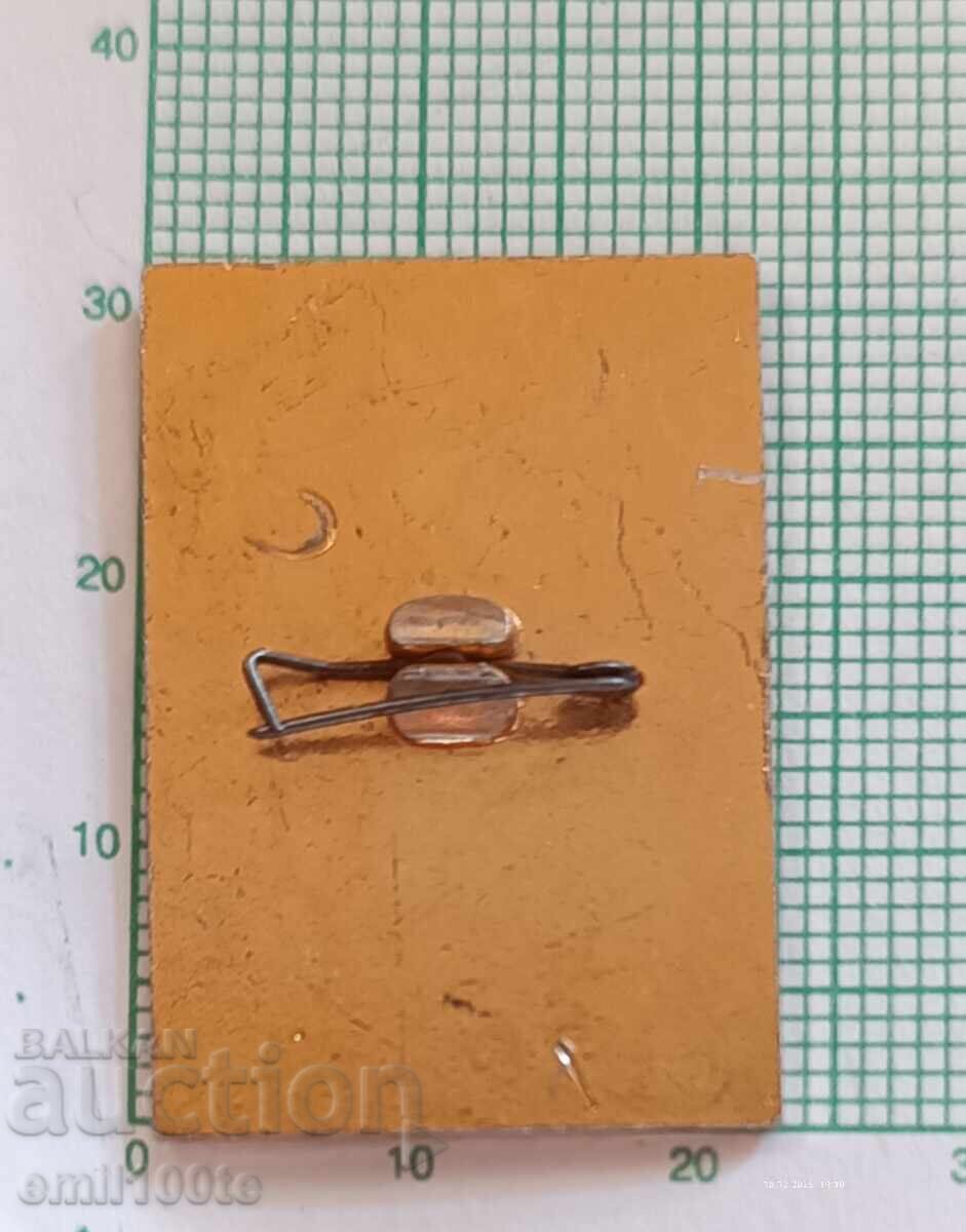 Παράδοση Σήμα - Περιφερειακή Διάσκεψη Κομσομόλ Περιφέρειας Ροστόφ, ΕΣΣΔ Παράδοση Σήμα - Περιφερειακή Διάσκεψη Κομσομόλ Περιφέρειας Ροστόφ, ΕΣΣΔ