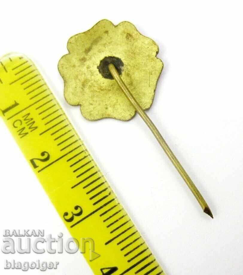 Licitație Federația Turcă de Taekwondo - Insignă veche rară