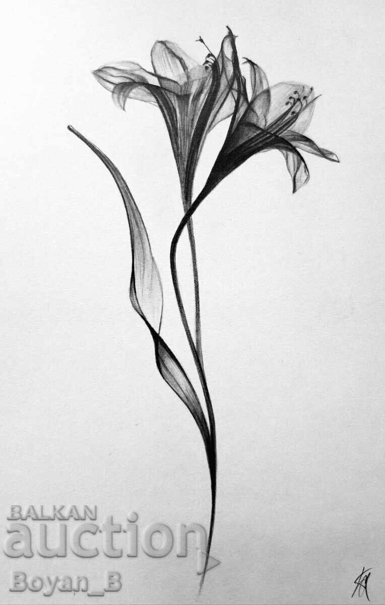 Flower - drawing