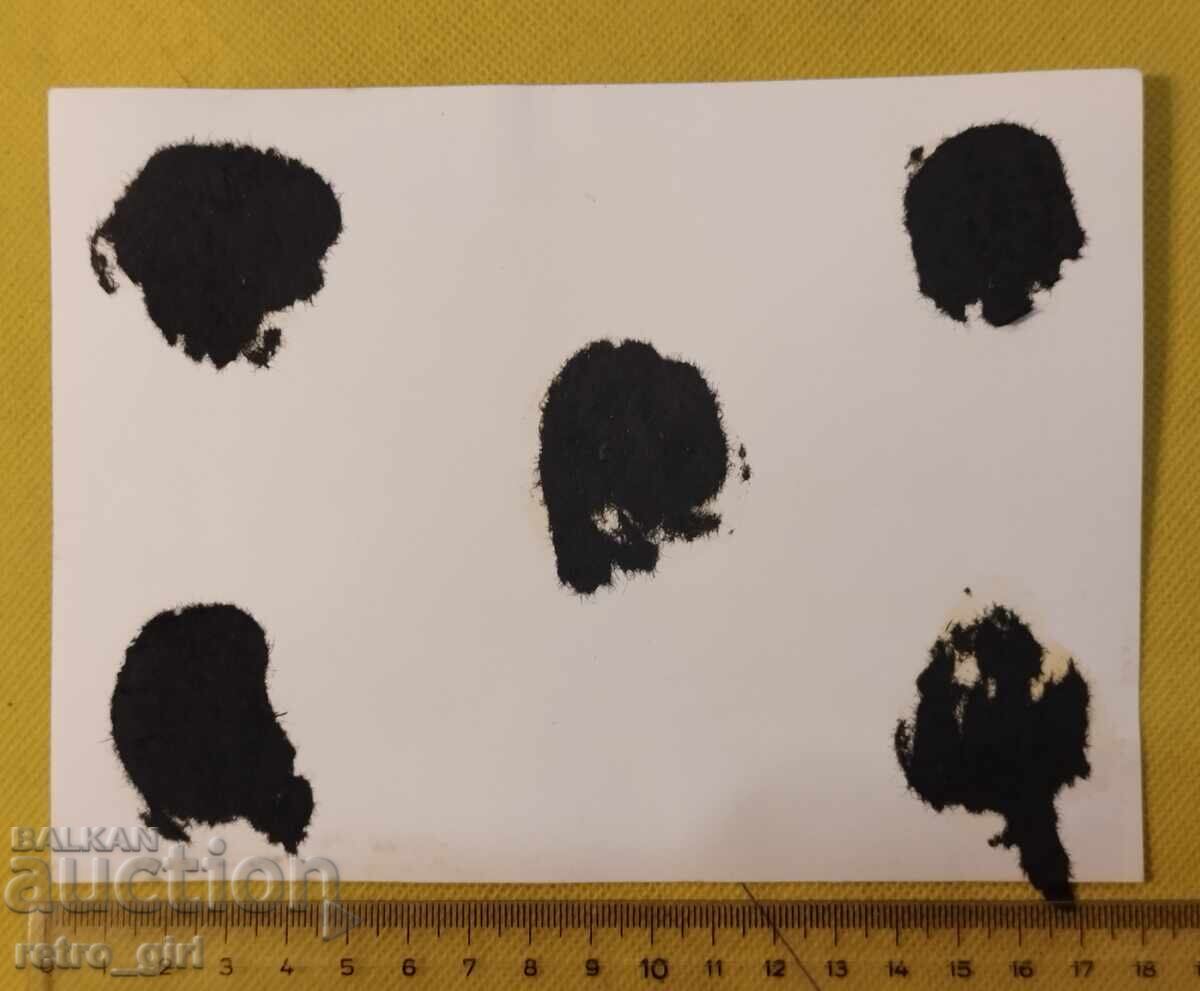 Стара военна снимка, БНА. с цена € 3.53 | 6.90 лв. Стара военна снимка, БНА. с цена € 3.53 | 6.90 лв.