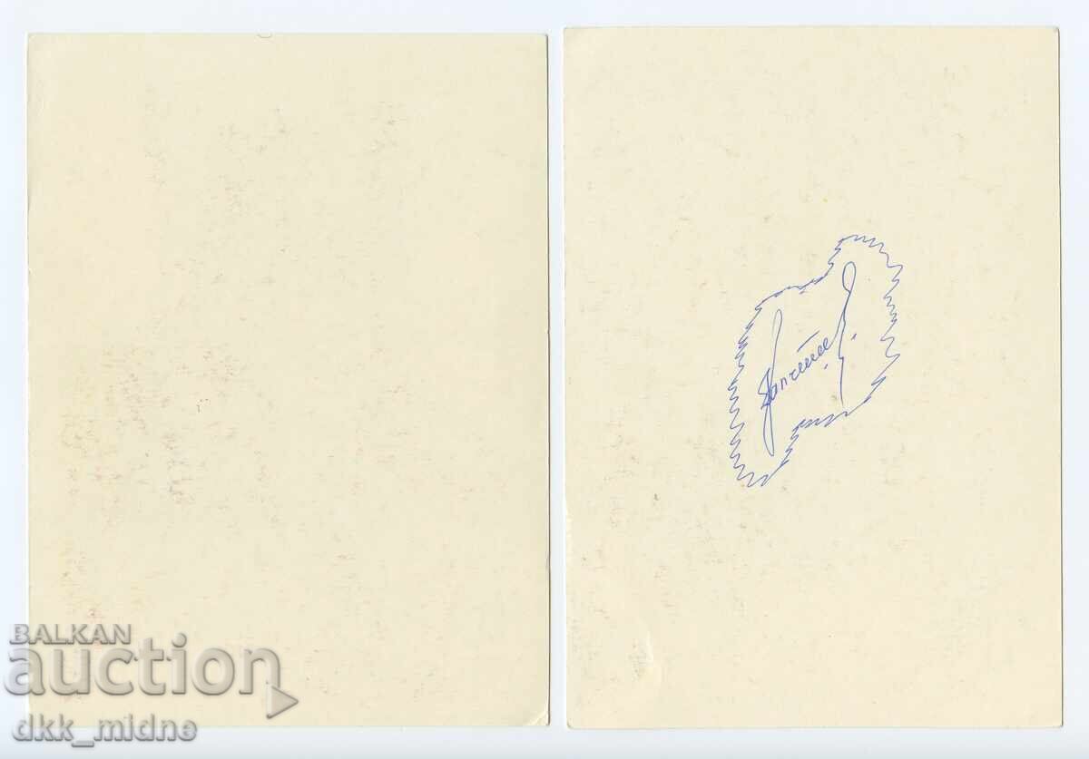 Delivery of Two old photos with domestic cats