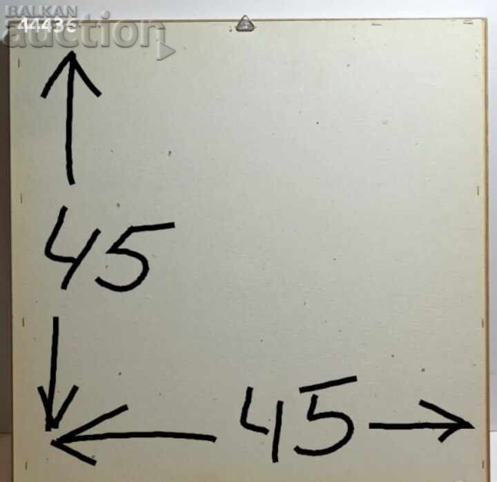 Goblen în ramă 45 x 45 cm - 7