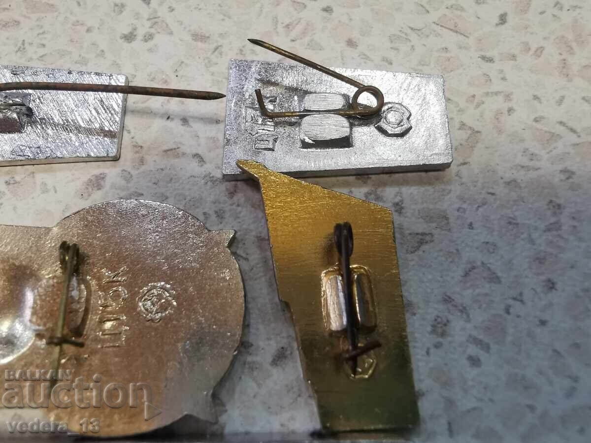 Livrarea MULTE insigne