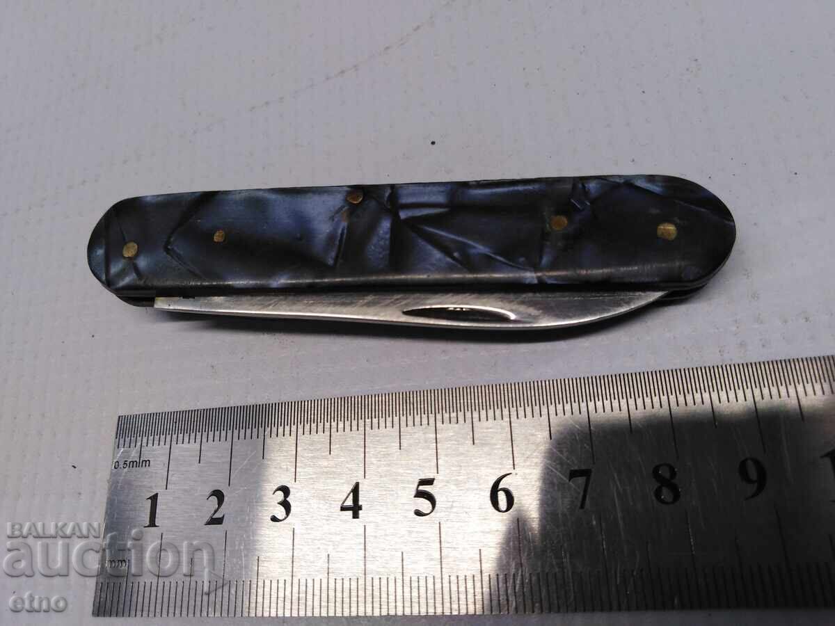 Livrarea CUIT DE BUZUUNAR BULGAR VELIKO TARNOVO