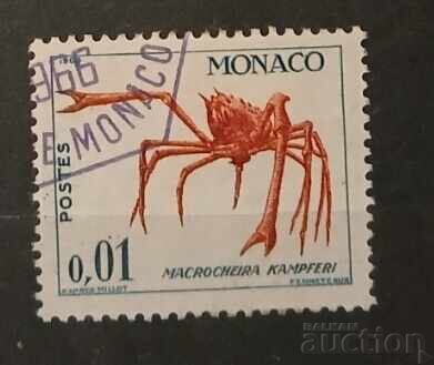 Μονακό 1964 Φαύνα Μονακό 1964 Φαύνα