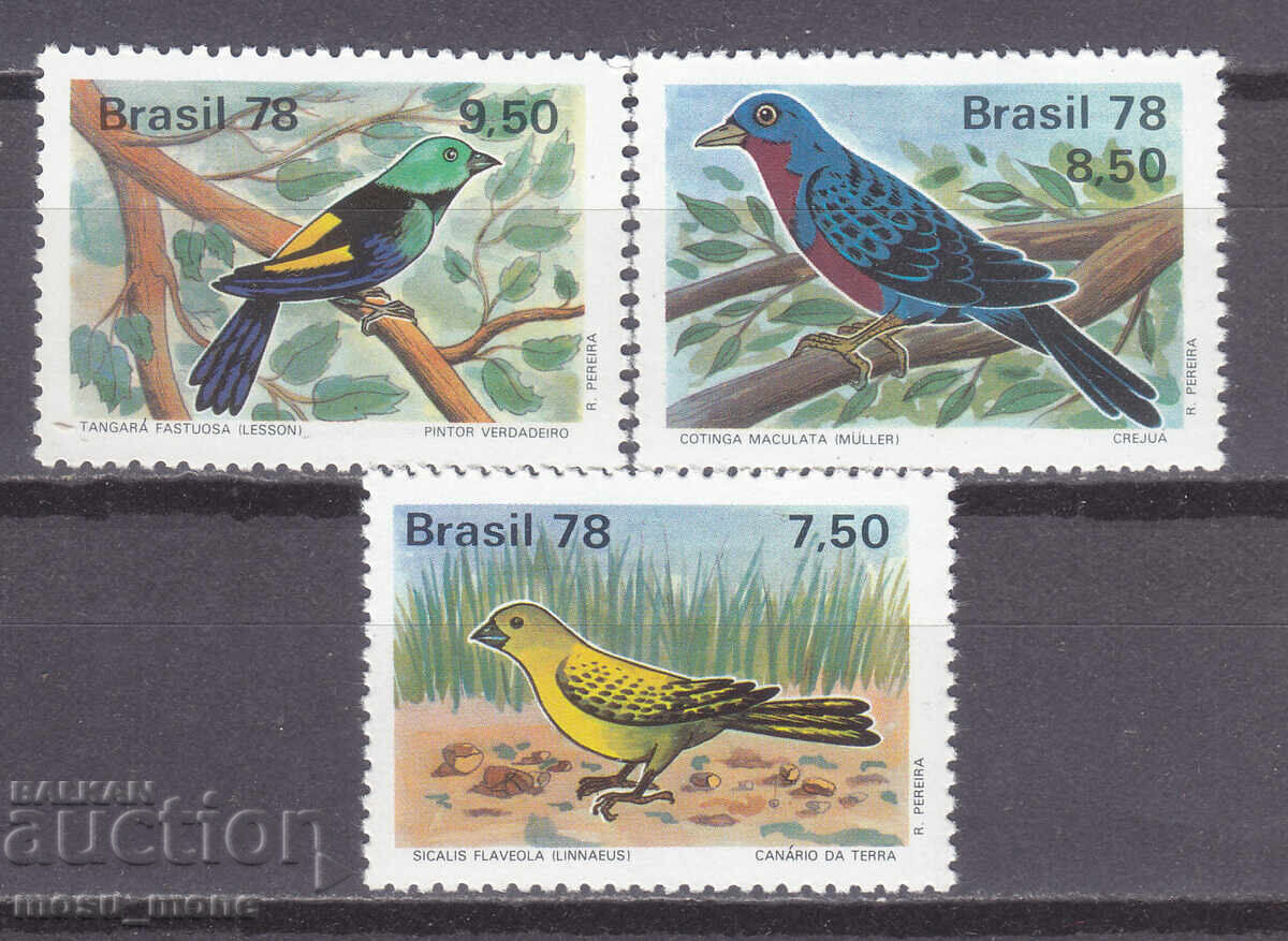 Βραζιλία 1978