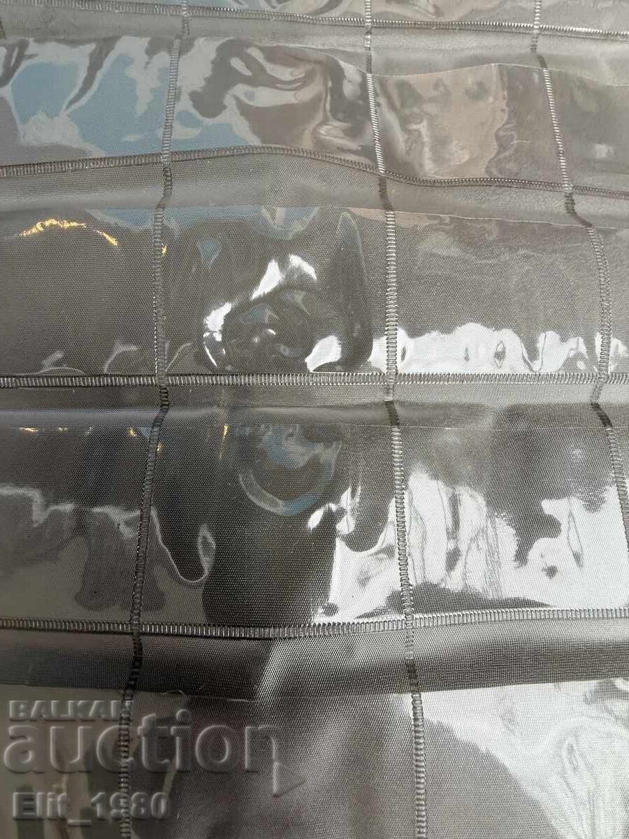 Coin Album with price € 4.09 | 8.00 BGN