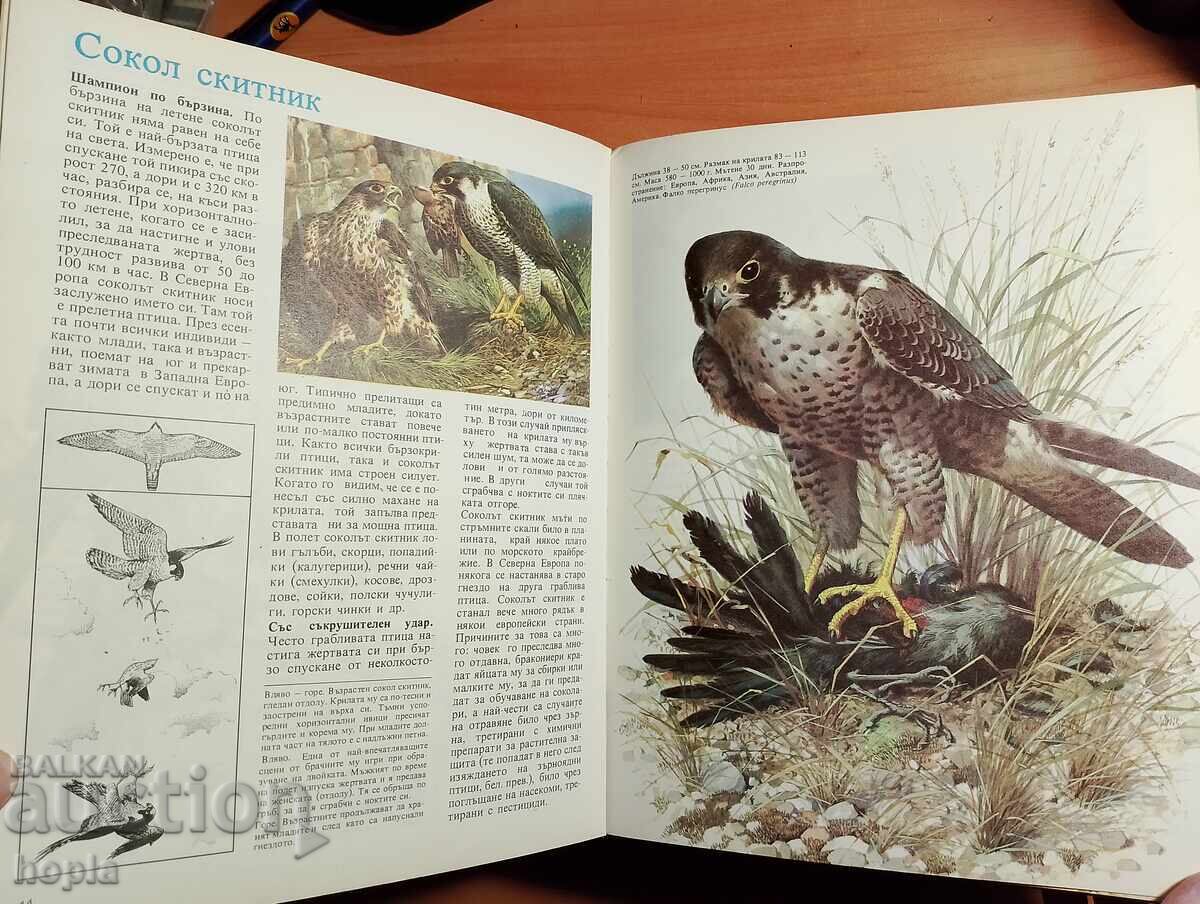 Доставка на ТАЙНИТЕ НА ЖИВОТНИТЕ-ГРАБЛИВИТЕ ПТИЦИ НА ЕВРОПА