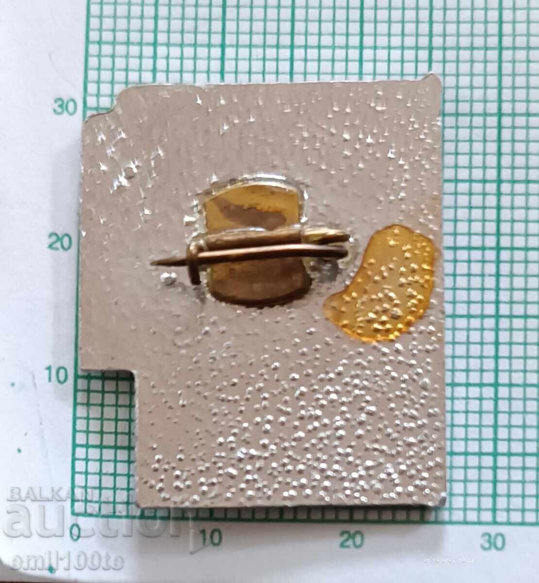 Badge - Museum of the Revolutionary Movement Magliz "Botev" Society - 5