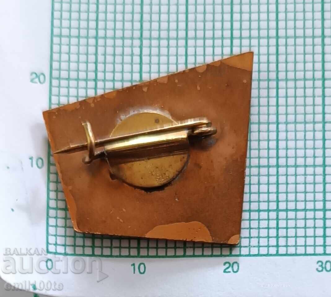 Значка- 6-ти конгрес на Профсъюзите - 5