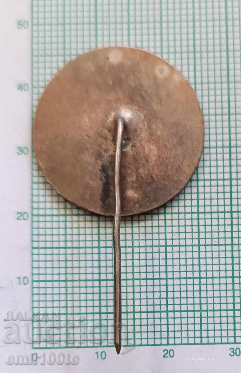 Livrarea Insigna - Expoziție Bulgară Paris 71