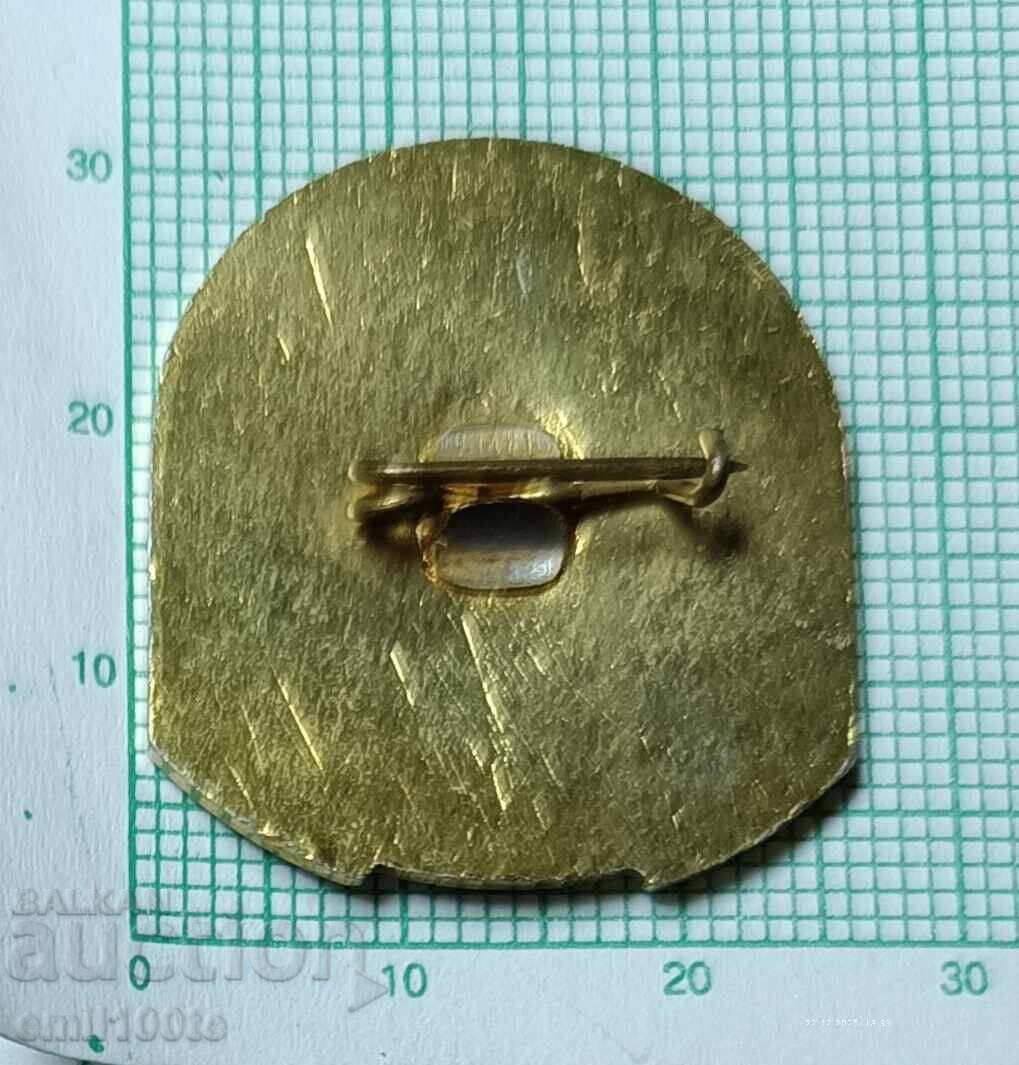 Значка- 80 години Федерация на профорганизациите от ССХП - 5 Значка- 80 години Федерация на профорганизациите от ССХП - 5