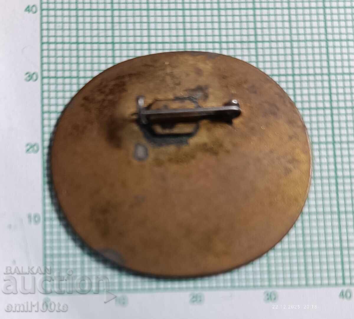 Badge - Kremikovtsi Metallurgical Plant - 5 Badge - Kremikovtsi Metallurgical Plant - 5