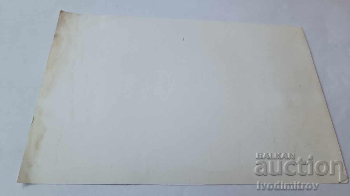 Fotografie Bărbați în costume de baie în parc cu preț € 0.84 | 1.64 BGN