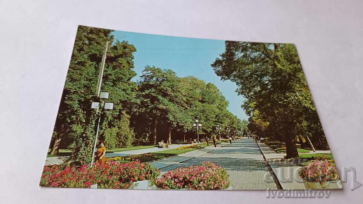 Postcard Sandanski City Park 1987 Postcard Sandanski City Park 1987