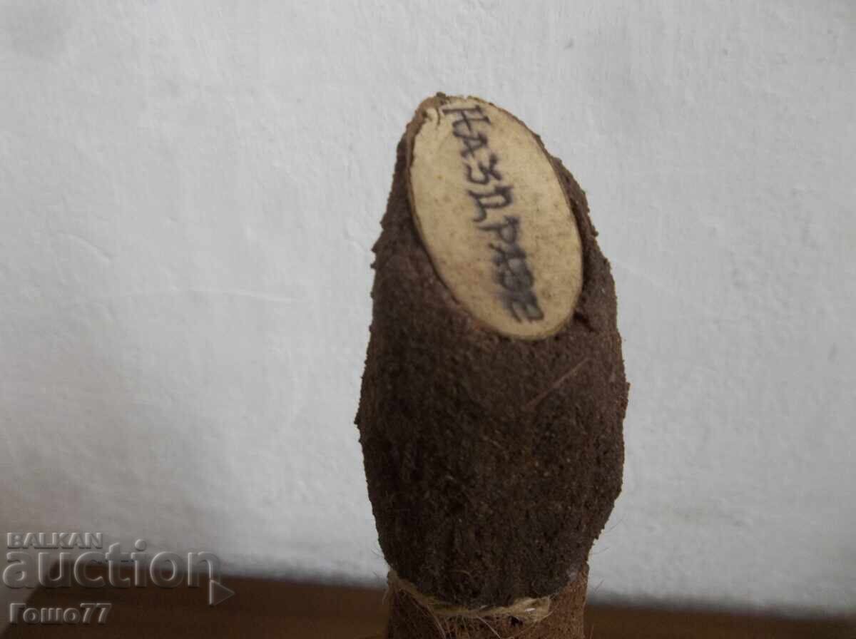 Δέντρο μπουκαλιού - 5