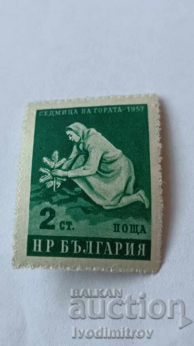 Timbre poștală RPR Săptămâna Pădurii 1957 Timbre poștală RPR Săptămâna Pădurii 1957