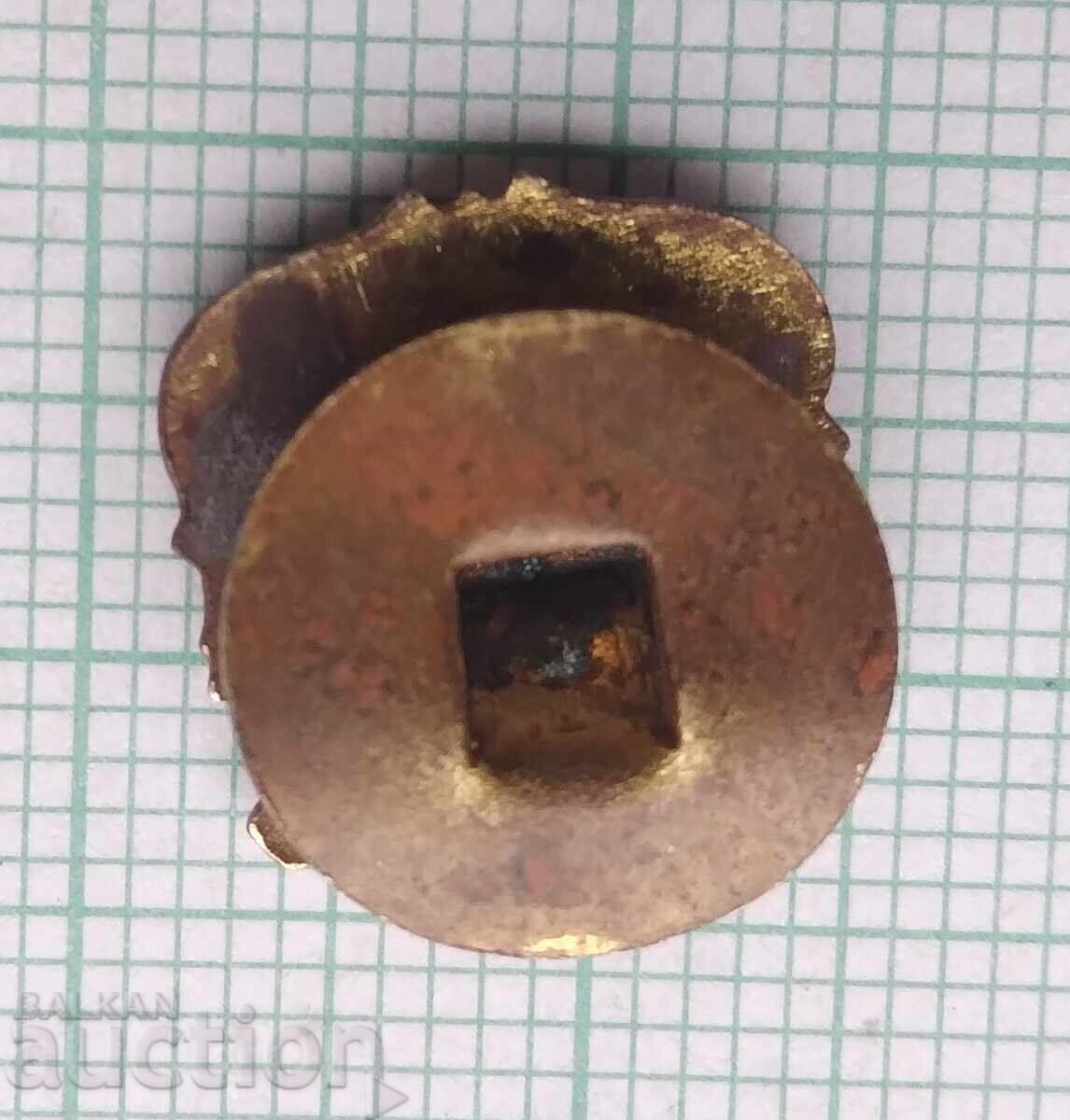 Auction  19251 Badges - FC Barcelona