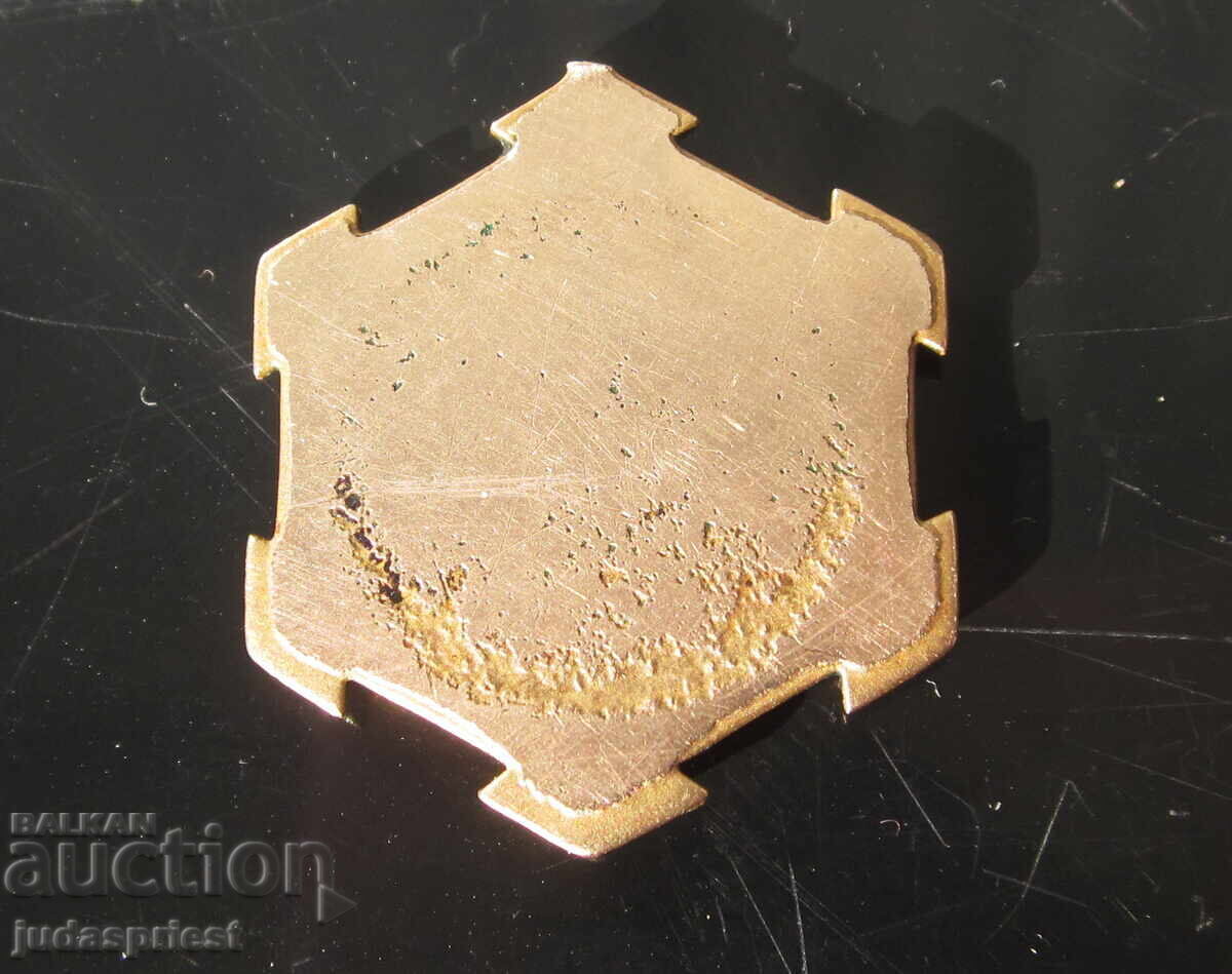 Regatul Bulgariei, icoană veche aurită cu email, Iisus Hristos - 5