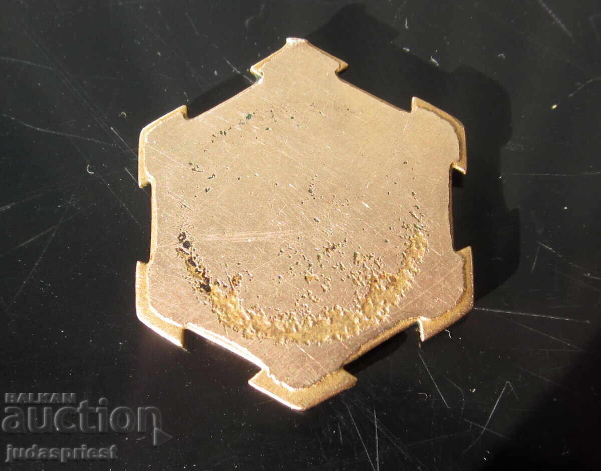 Regatul Bulgariei, icoană veche aurită cu email, Iisus Hristos - 6