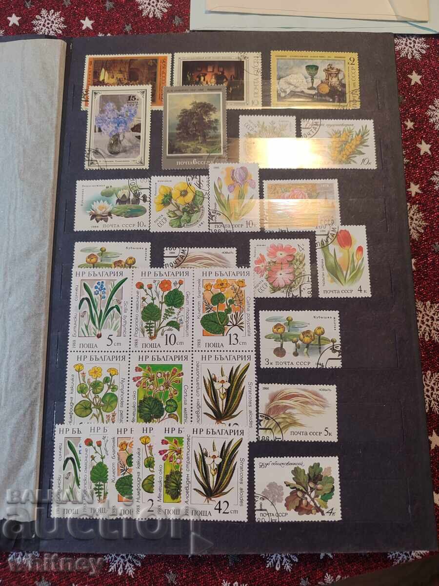 Album de timbre 2 Album de timbre 2