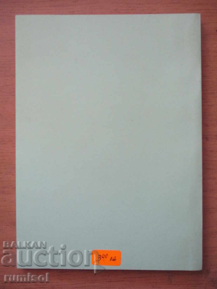 Οργάνωση και διαχείριση της εταιρείας - Γιούλιαν Μλάντενοφ - 6