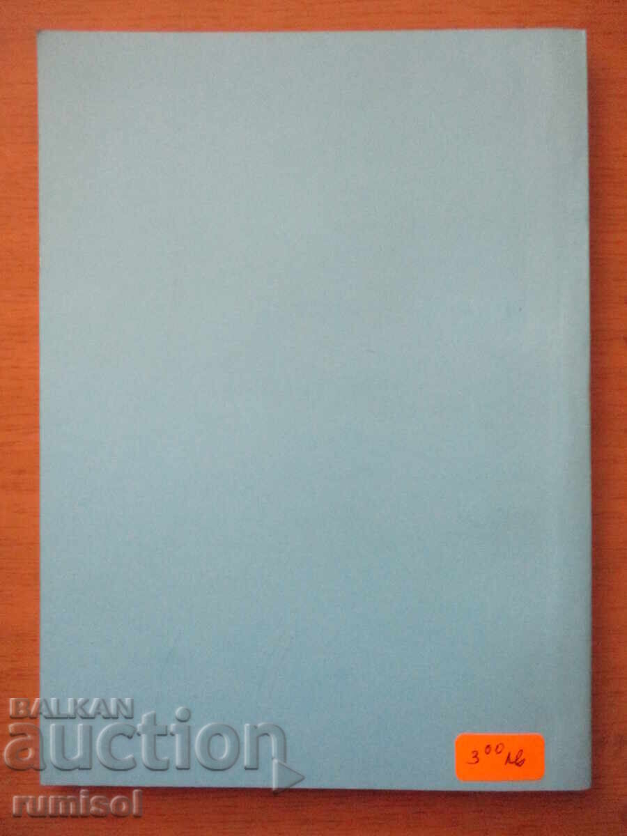 Οργάνωση και διαχείριση της εταιρείας - Γιούλιαν Μλάντενοφ - 6