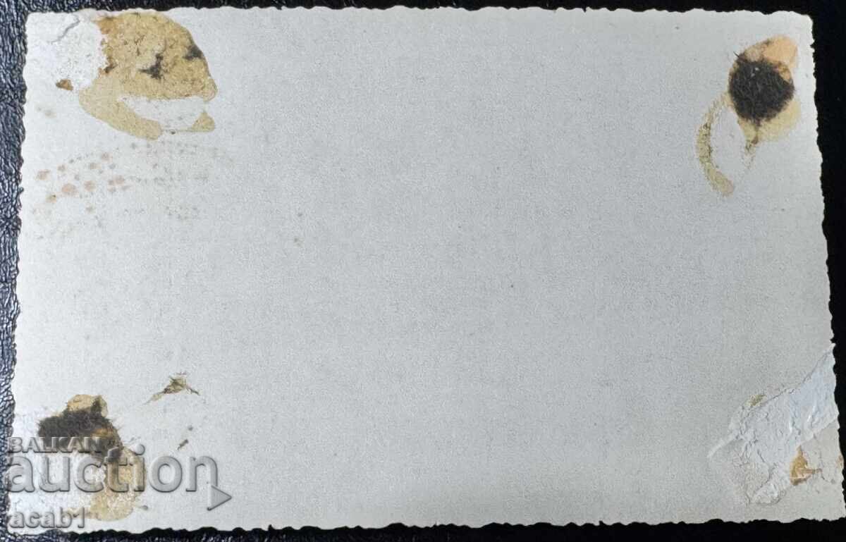 Domnie grea, dar glorioasă 1918-1938 cu preț € 12.78 | 25.00 BGN