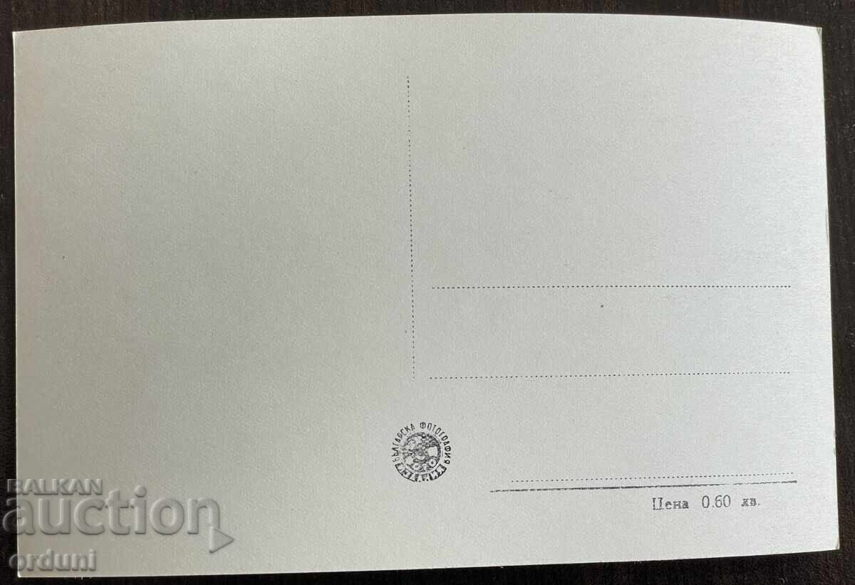 Auction  5228 Bulgaria postcard city Vratsa hut of the city 50s