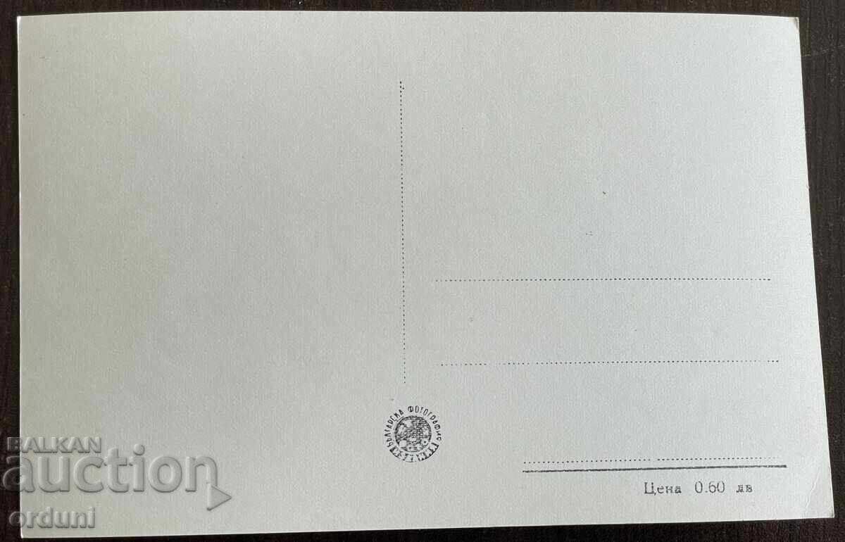 Licitație 5229 Bŭlgariya carte poștală orașul Vrața cabană la oraș anii '50 Licitație 5229 Bŭlgariya carte poștală orașul Vrața cabană la oraș anii '50